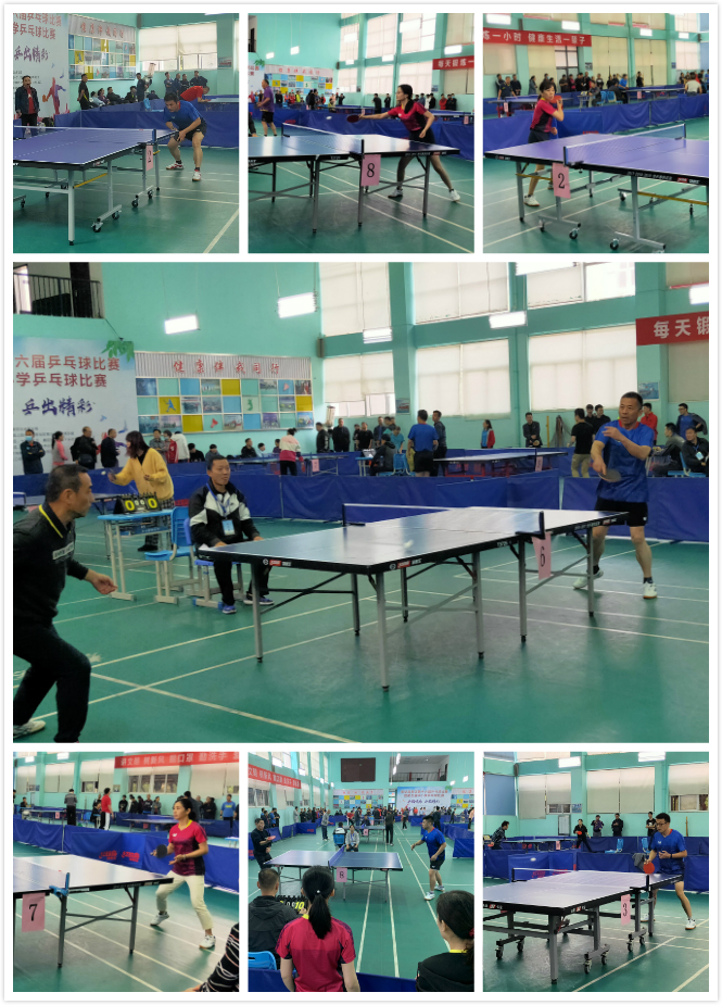 是体育界又 是体育界又